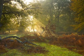 开云-“西甲联赛风云变幻，豪门纷纷迎战”，西甲足球联赛