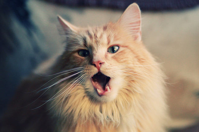 _勇士队三分雨持续，比赛胜利可期_，勇士队三分球纪录