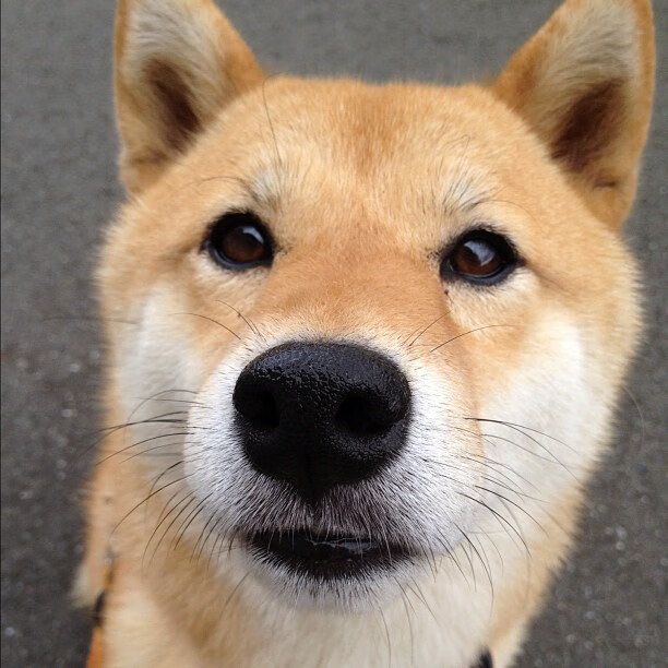 “足球明星李明西进,开启新一季征程”,李明 足球妻子