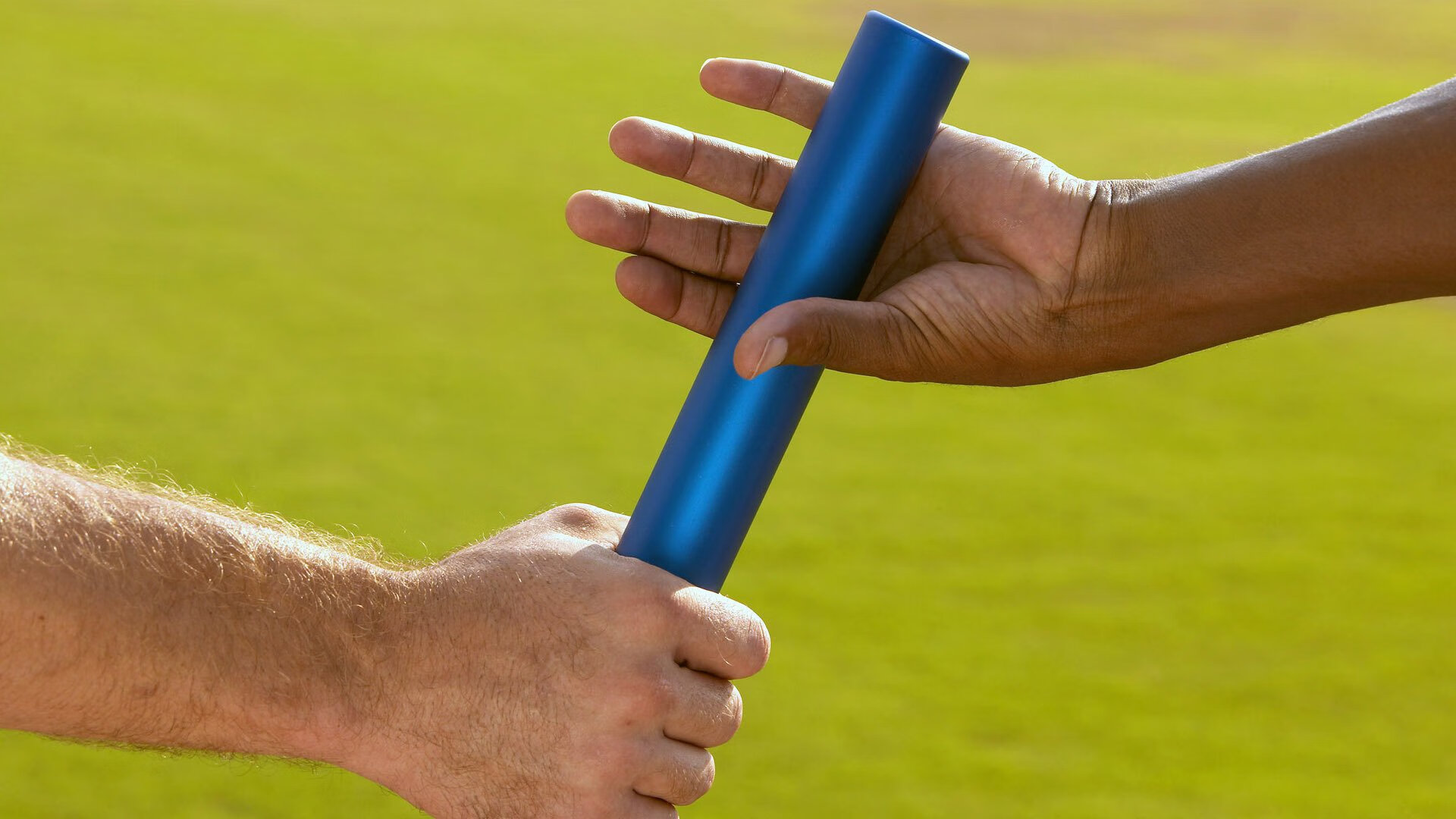 伊朗马术协会设立马匹福利基金,支持马匹退休生活。,伊朗马种